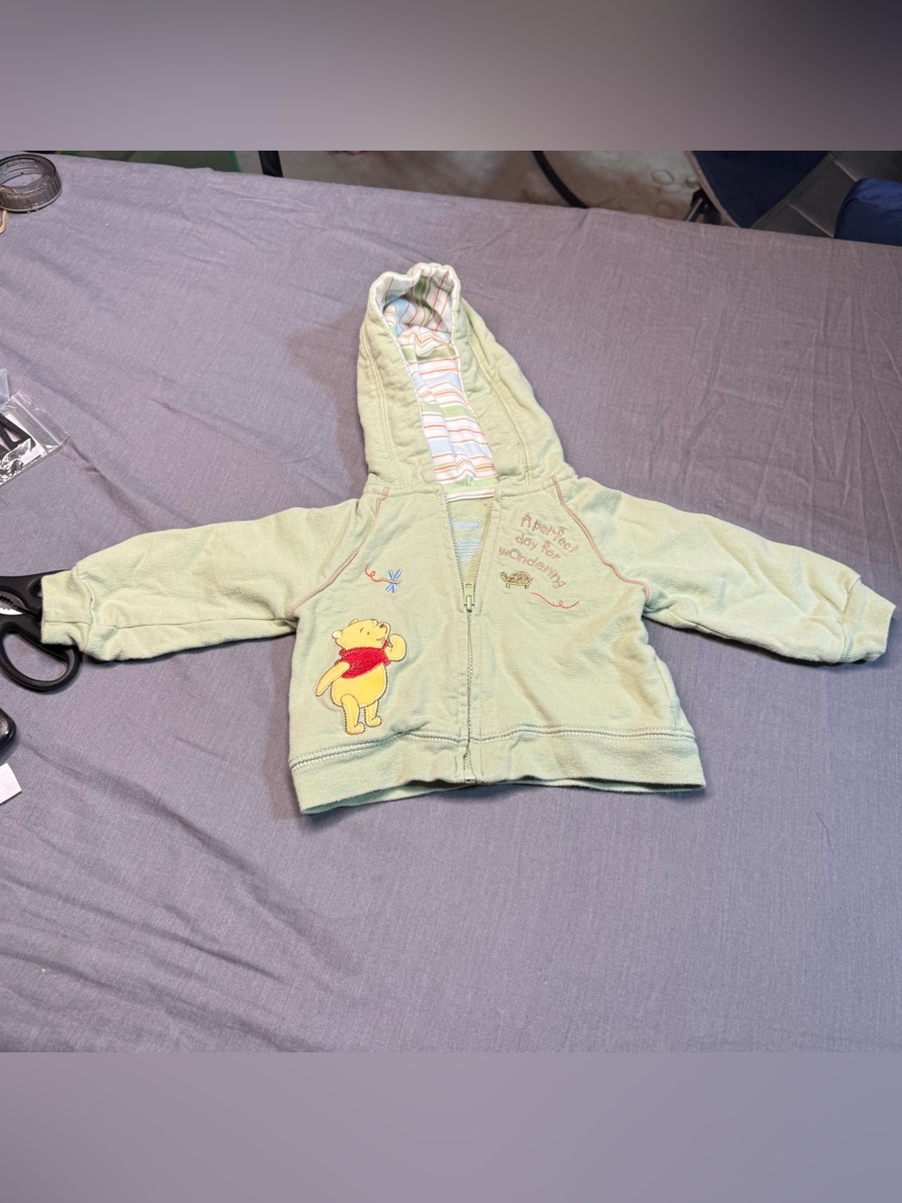 Vintage Disney Light Green Winnie the Pooh Hooded Zip-Up Sweatshirt